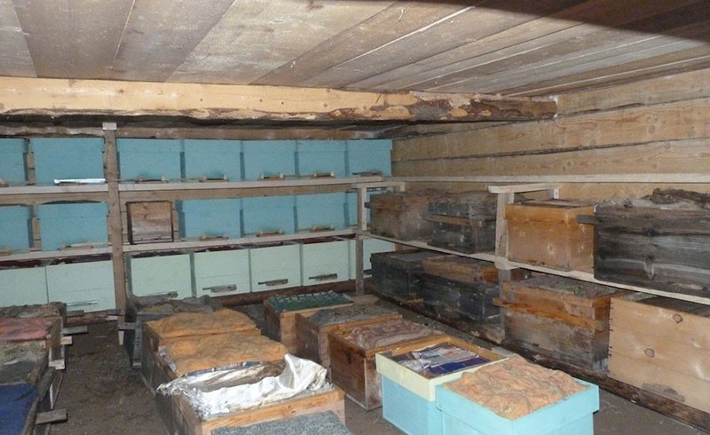 hivernage des abeilles à Omshanik