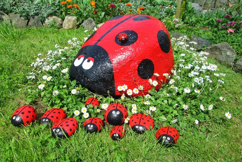 famille de coccinelles