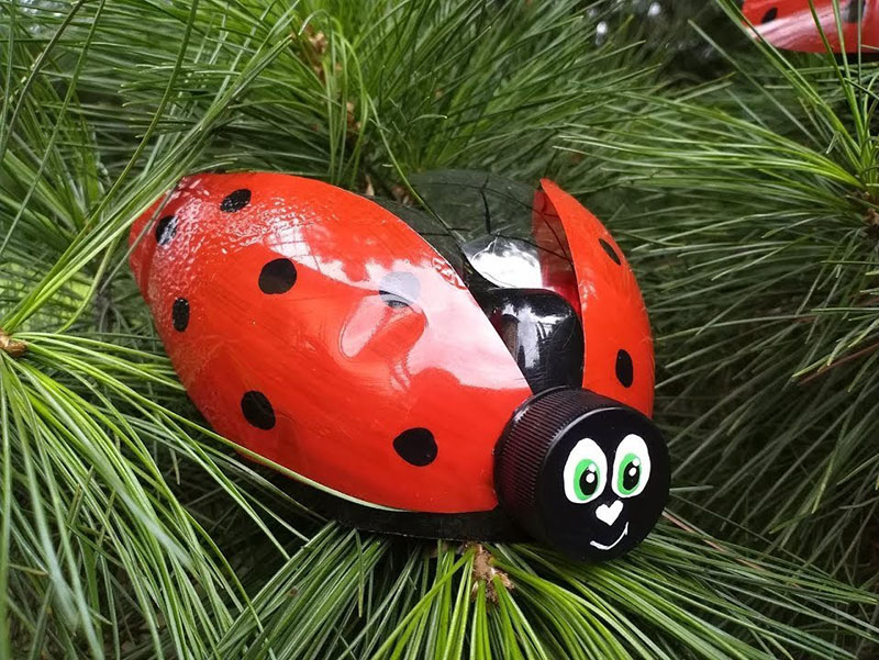 coccinelle aux ailes déployées