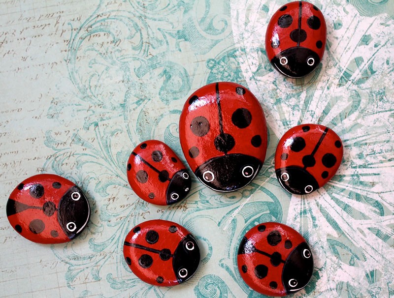 coccinelles en pierres