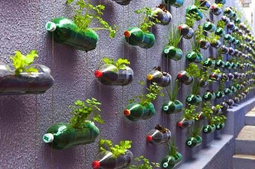 Parterre de fleurs vertical fait de bouteilles en plastique