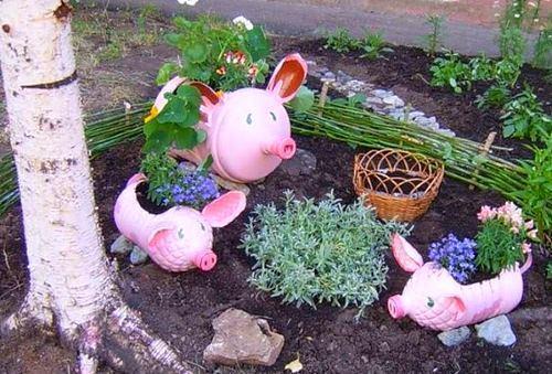 lechón de la cama de flores de una foto de botella de plástico