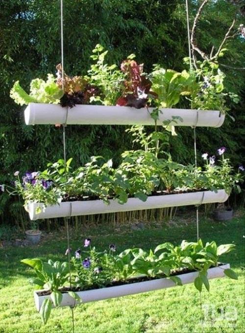 colgando macizos de flores de tuberías