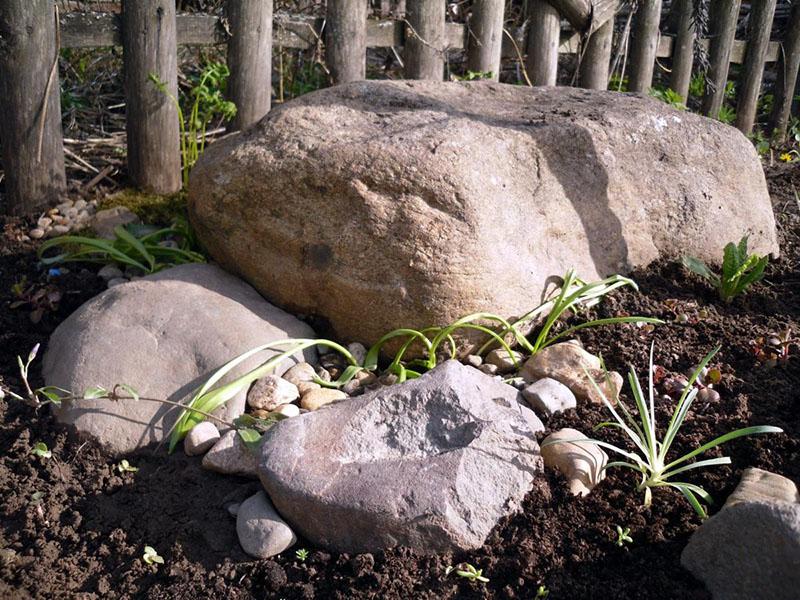 un macizo de flores de piedras grandes