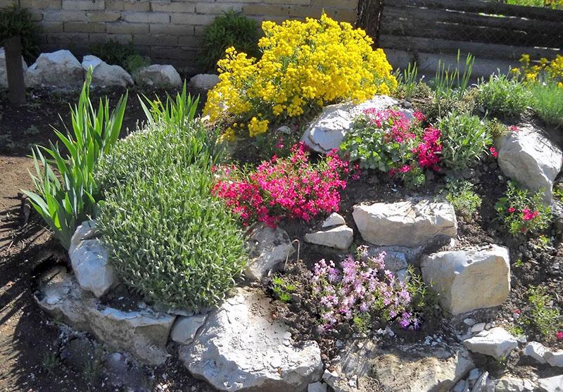 elegir un lugar para un macizo de flores