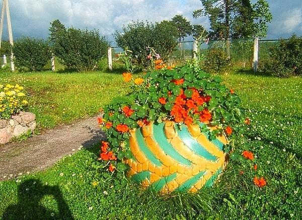 grand parterre de fleurs