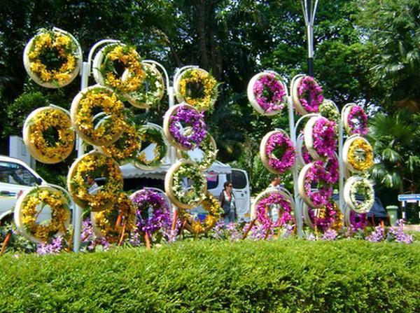 parterres de fleurs verticaux