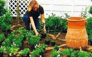 fille fait un parterre de fleurs