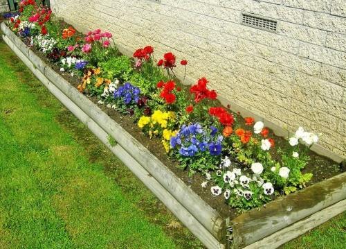 comment faire un parterre de fleurs