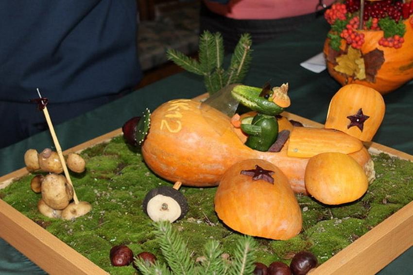 cocodrilo en un avión de calabaza