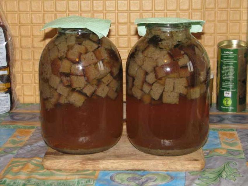 comment faire du kvas à partir de crackers