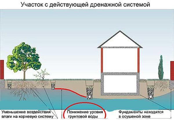 zone avec un système de drainage fonctionnel