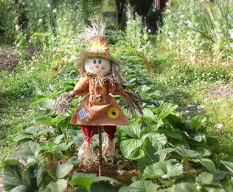 espantapájaros en el jardín de fresas