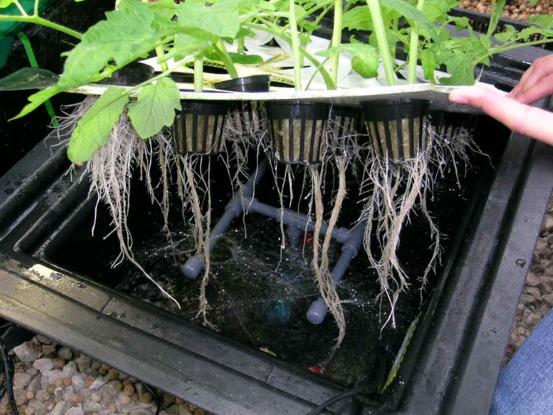 requerimientos de agua para solución hidropónica