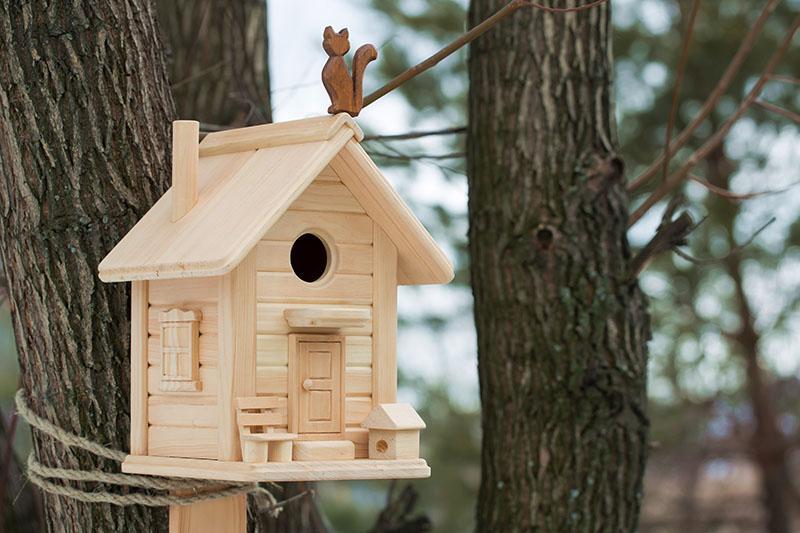 Hágalo usted mismo casita para pájaros de madera