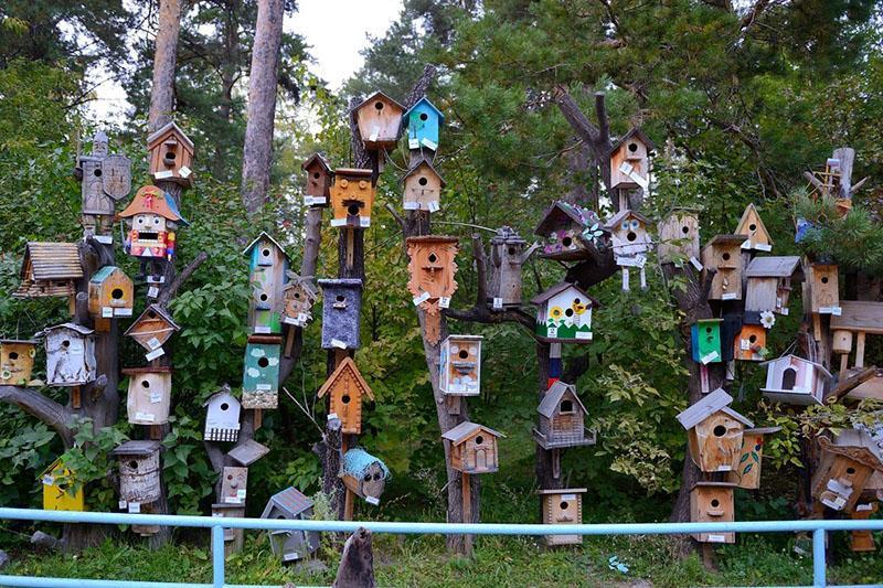 pueblo de aves