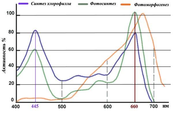 Graphique de l'efficacité du spectre des semis