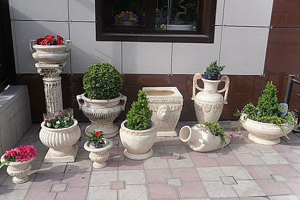 pots de fleurs le long du mur