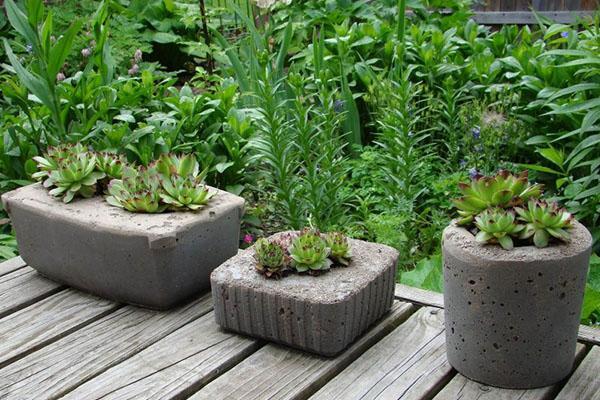 pots de fleurs en béton dans le patio