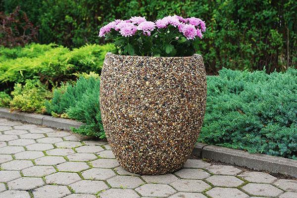 pot de fleurs haut dans le jardin