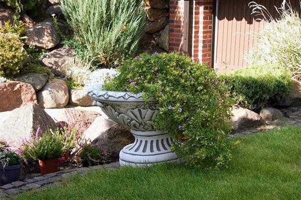 bol de pot de fleurs dans la conception de jardin