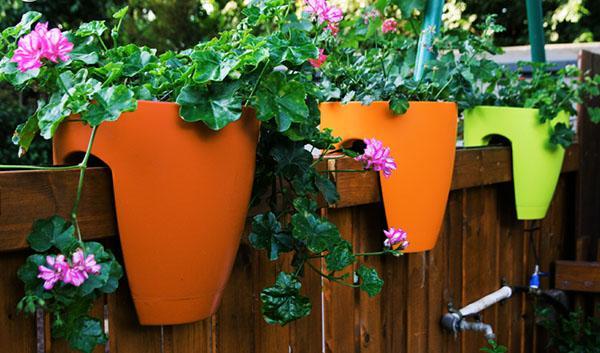 pots de fleurs en plastique sur la clôture