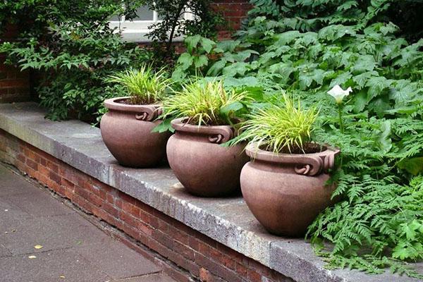 pots de fleurs ronds