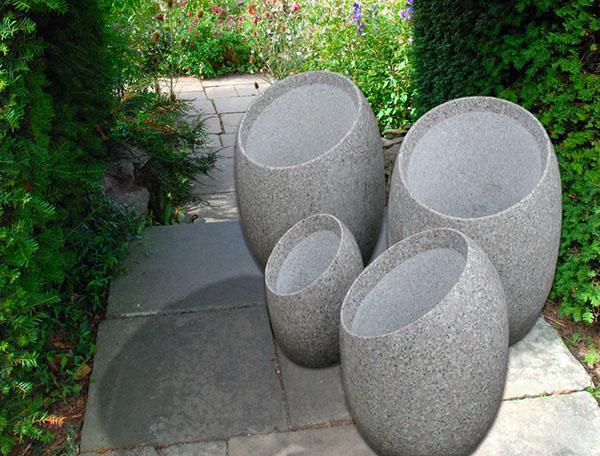 vases ovales en béton
