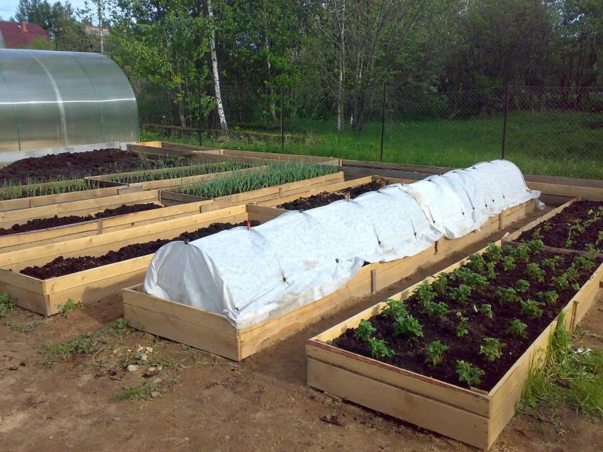 serre dans un jardin chaleureux