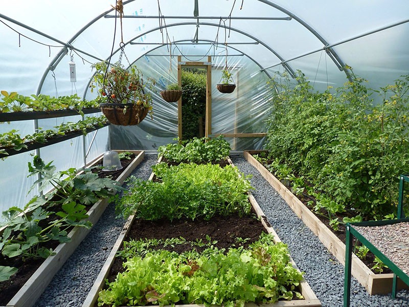 avantages et inconvénients d'un lit de jardin chaud dans une serre