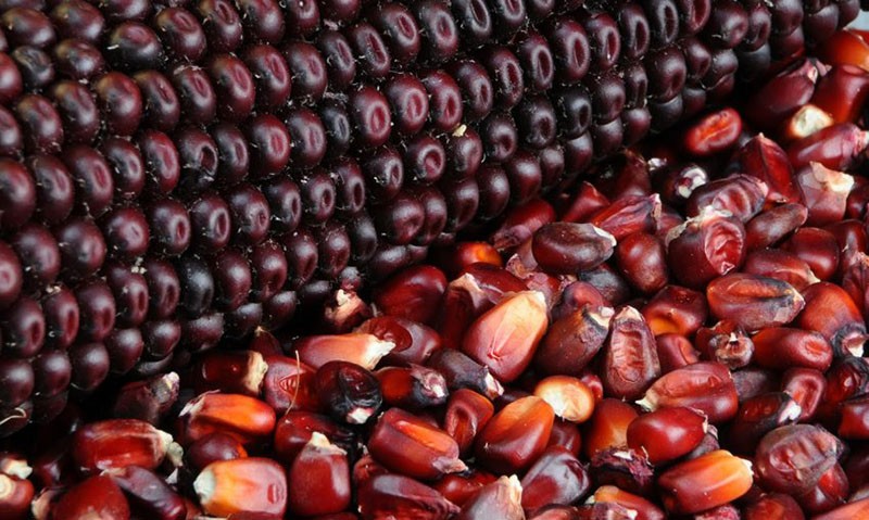 variedad de palomitas de maíz rojas