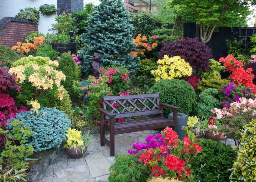 coin détente au milieu des fleurs