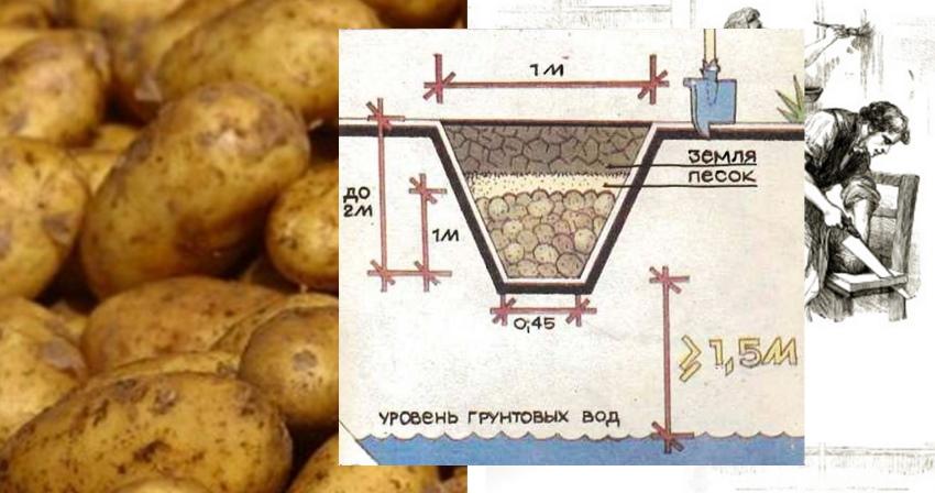 comment faire un tas de pommes de terre