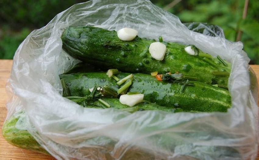 pepinos ligeramente salados en una bolsa