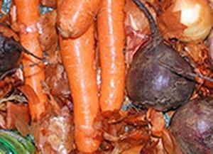 Almacenar zanahorias en cáscaras de cebolla