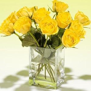 roses jaunes