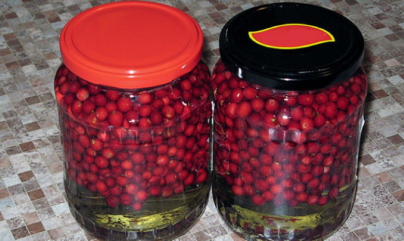 arándanos empapados