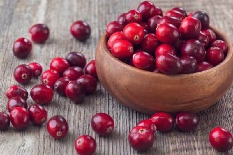 arándanos para las recetas de invierno sin cocinar