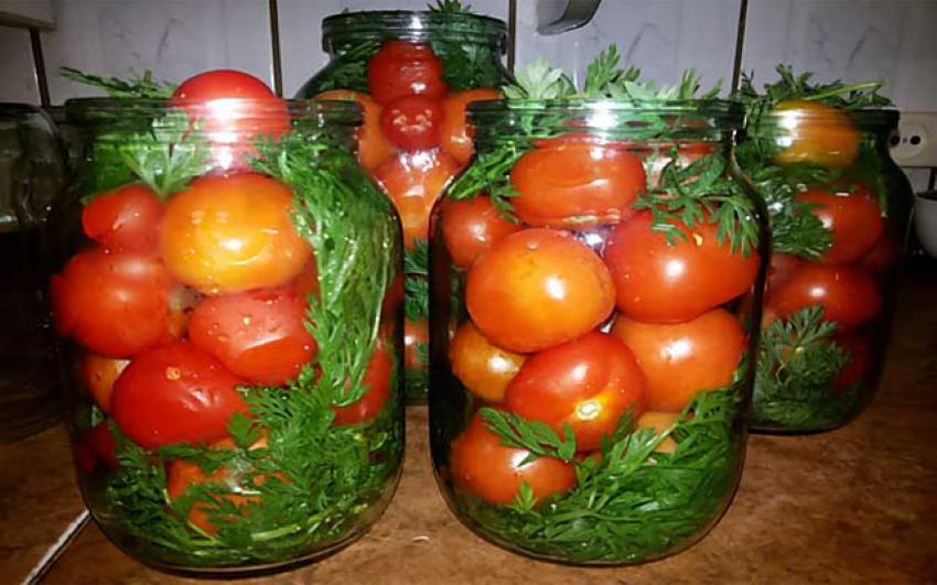 tomates marinées avec fanes de carottes