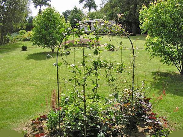 cadre pour jardinage vertical