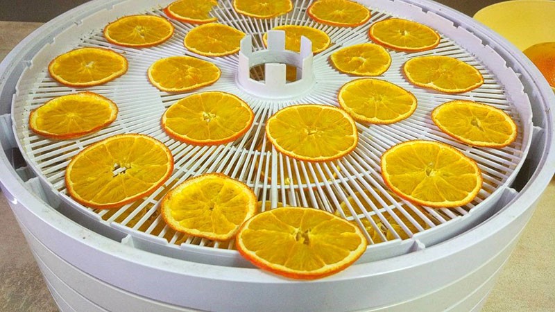 nous séchons les oranges dans un séchoir électrique