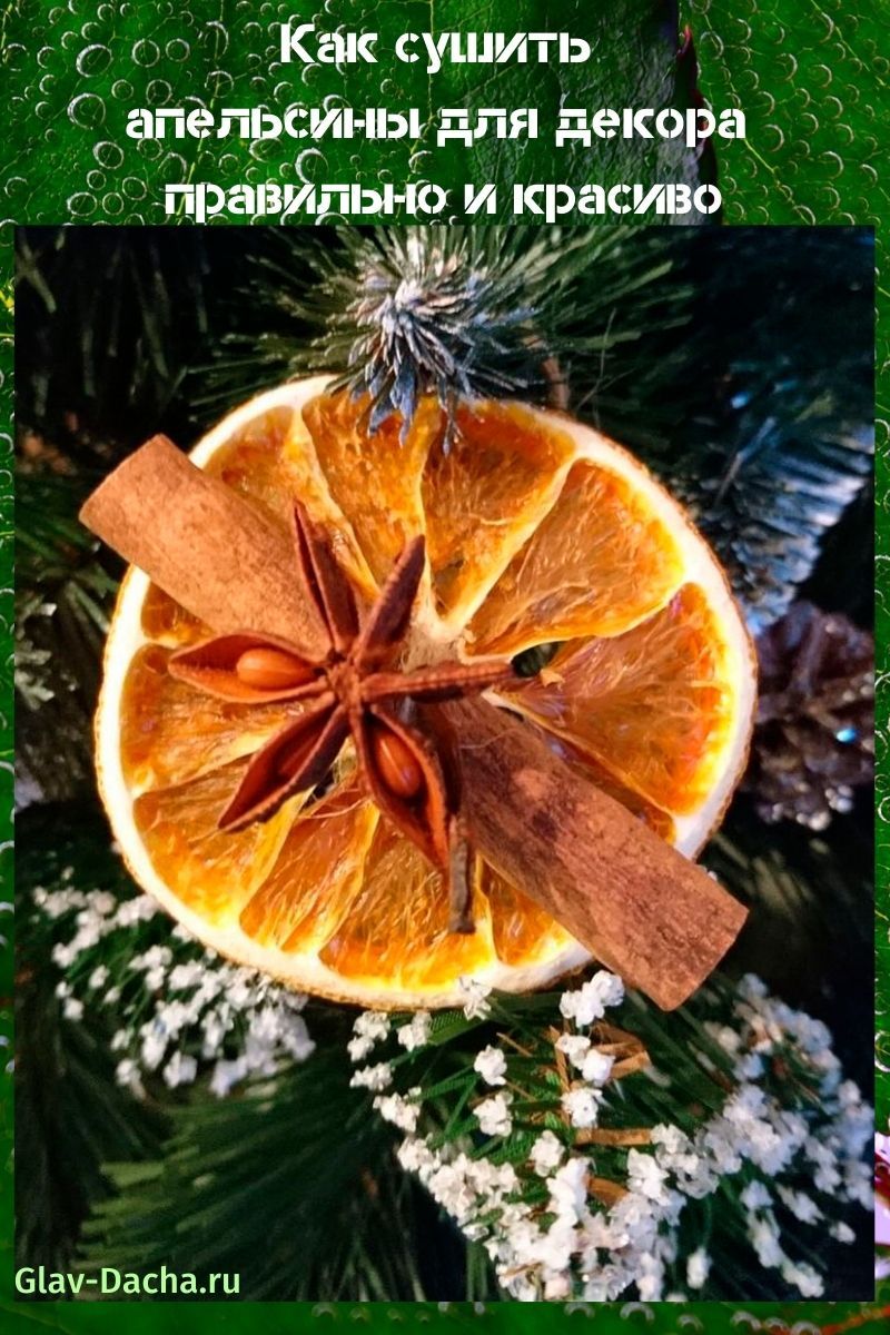 comment faire sécher des oranges pour la décoration
