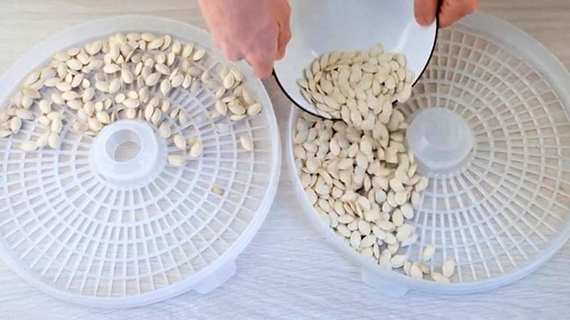 cómo secar semillas de calabaza en una secadora eléctrica