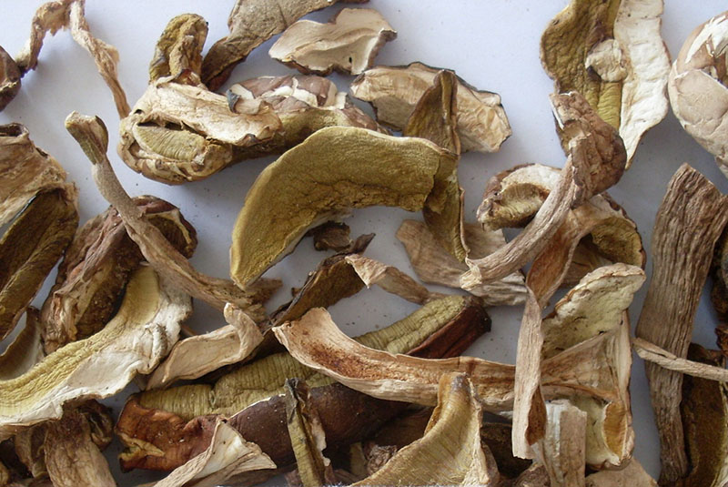 hongos ostra secos