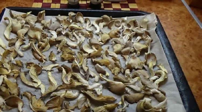 Cómo secar hongos ostra en casa en el horno.