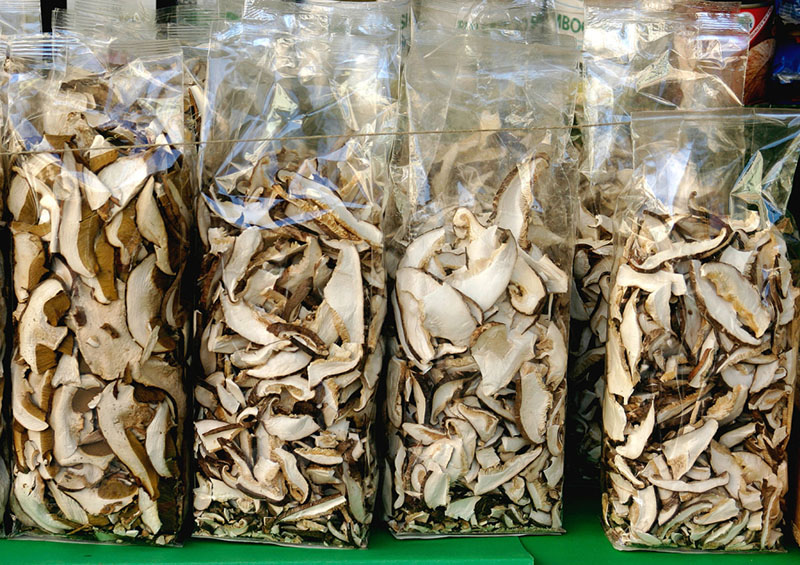 almacenamiento de hongos ostra secos