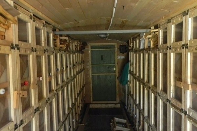 cabaña de abejas en el interior