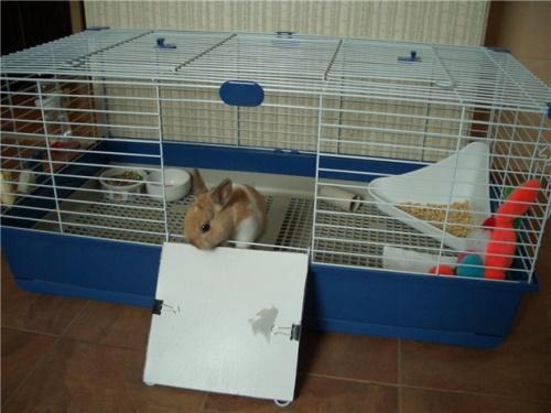 cage à lapin