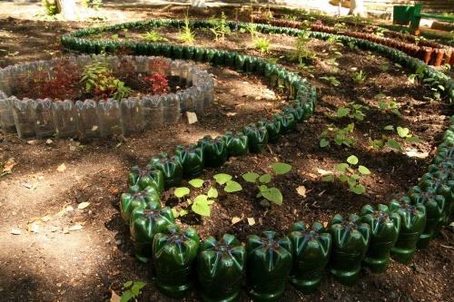 macizo de flores de botellas