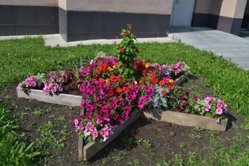 parterre de fleurs en bois